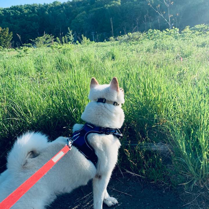 491c26c8 4ddc 4cb5 871b a4f2ece57da7 1621462743297