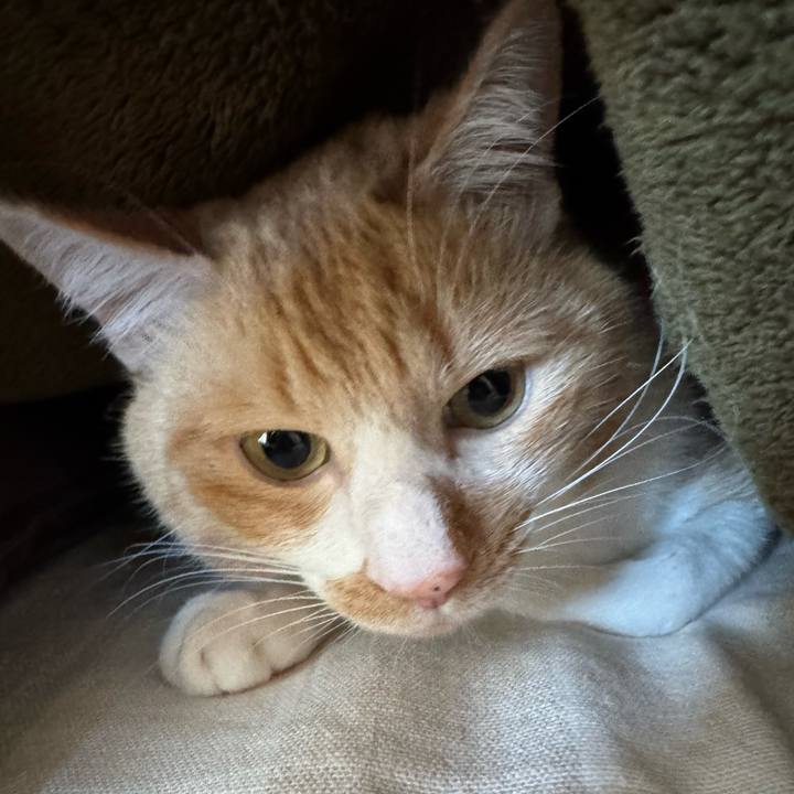 491c38dd d314 42b6 91e1 828ca056ba1a 1769335761045