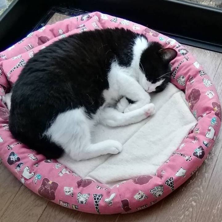 491c434f 9a36 47b3 96ec 58c4c0f6781d 1563437655398