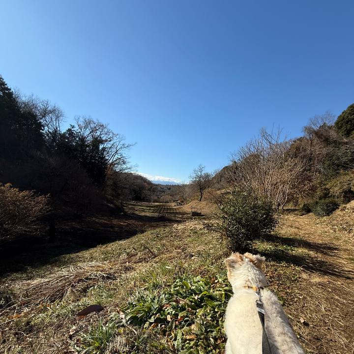 491c7dc3 98f7 4244 932b 57dc98c262f2 1766029256109