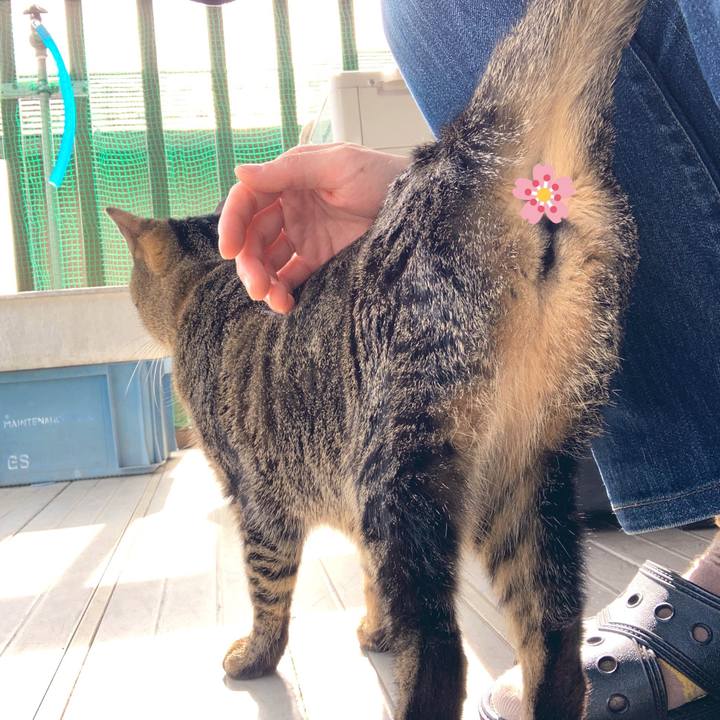 491c7ea1 b016 46a3 b091 3fba60602838 1553071639340