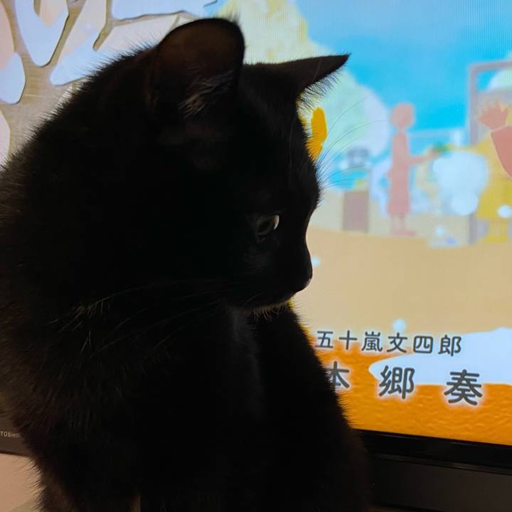 491c7f1b e723 4b17 89fd 209d9e9b0457 1645097146663