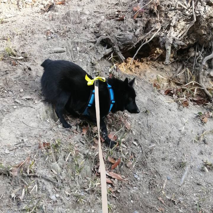 491cb97f 546d 4973 8572 837c95f35c9e 1645572264961