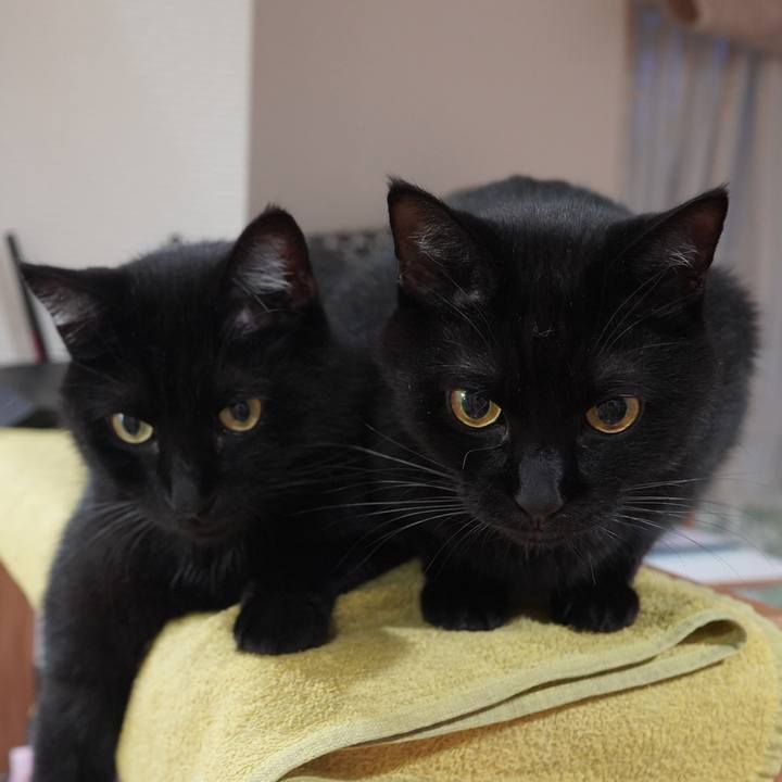 491cbc5f ee02 44dc a3fc a86069700d94 1598879885916