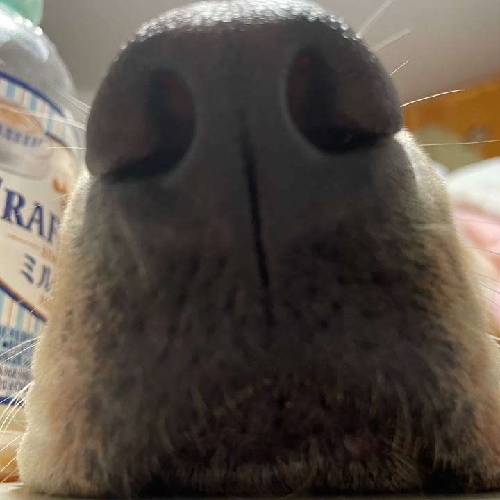 491d0607 6725 4135 8f0a 3b96d616b35f 1644658621240