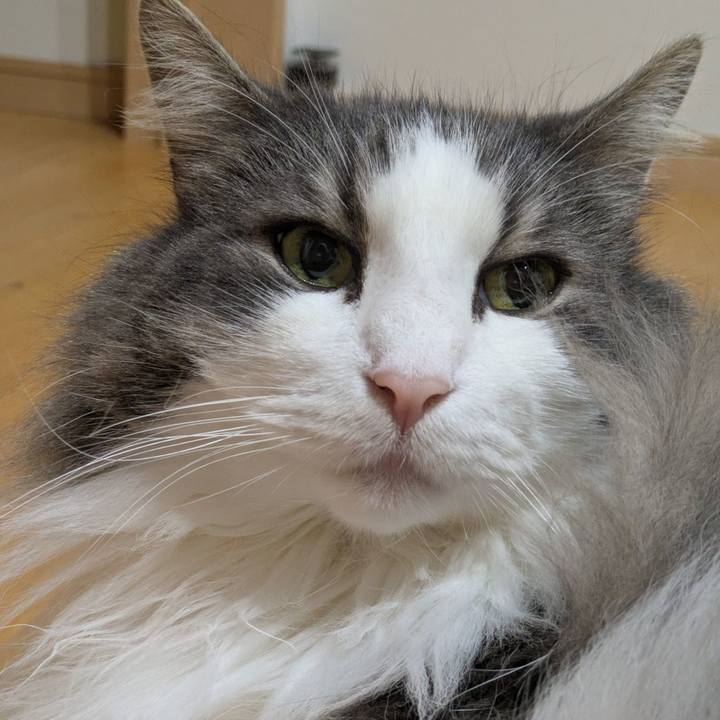 491d95d4 431a 4379 805b 4104495fb8c3 1762516323464