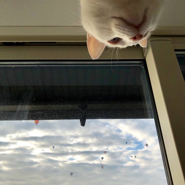 491db19a 3460 4ee3 8ee4 efa158ade806 1541412523640