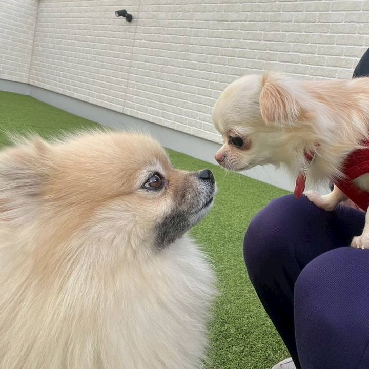 491dc58f e2e4 40ad bd29 c3ad6a652f3e 1768534529898