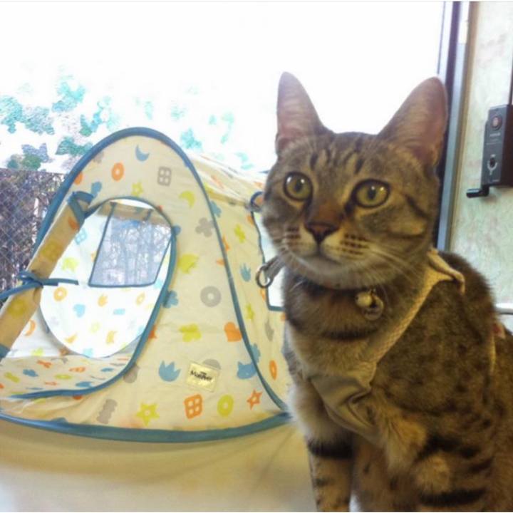 491de0ca fa16 48c6 9bf6 ba209658d95e 1639983938657