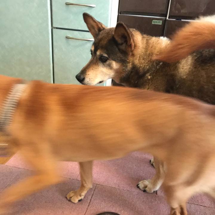 491df61a 4182 48bc 8524 e733d1985adc 1527461569743