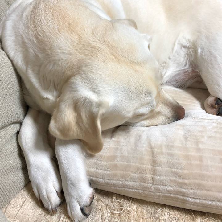 491e0fc1 b000 4c2b 8171 23425761b5d2 1584971320545