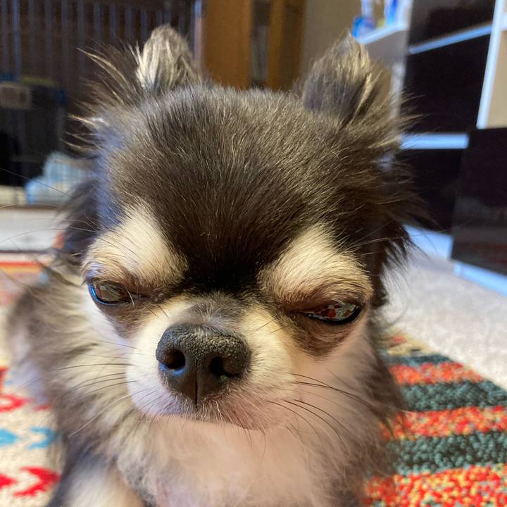 491e1f51 75b2 484e 827b a31eb1a570cc 1718467926140