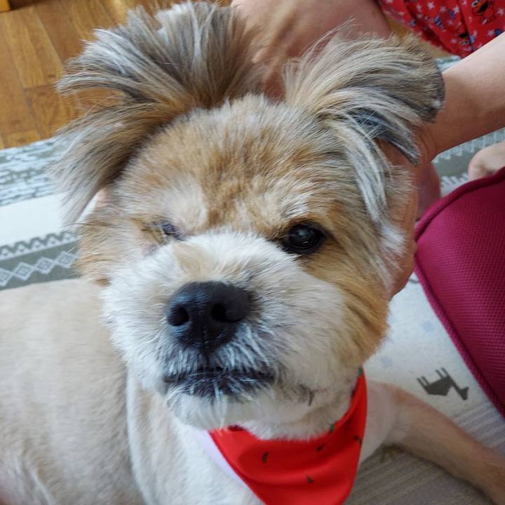 491e4030 cda9 4110 8a93 7d0b5db22be2 1660348710310