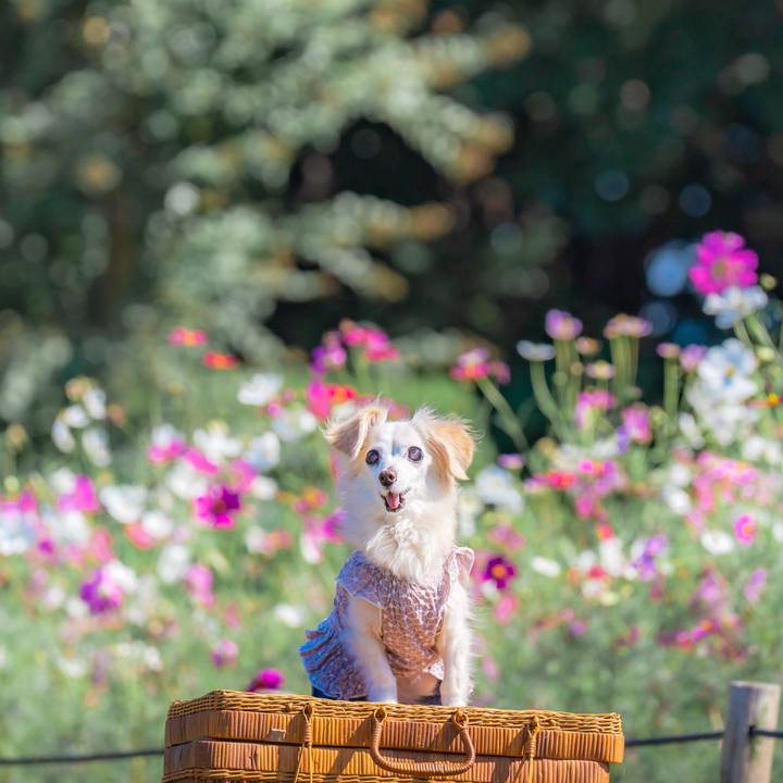 491e964b 4a23 4b1f 9388 74a3bad1c870 1763389533408