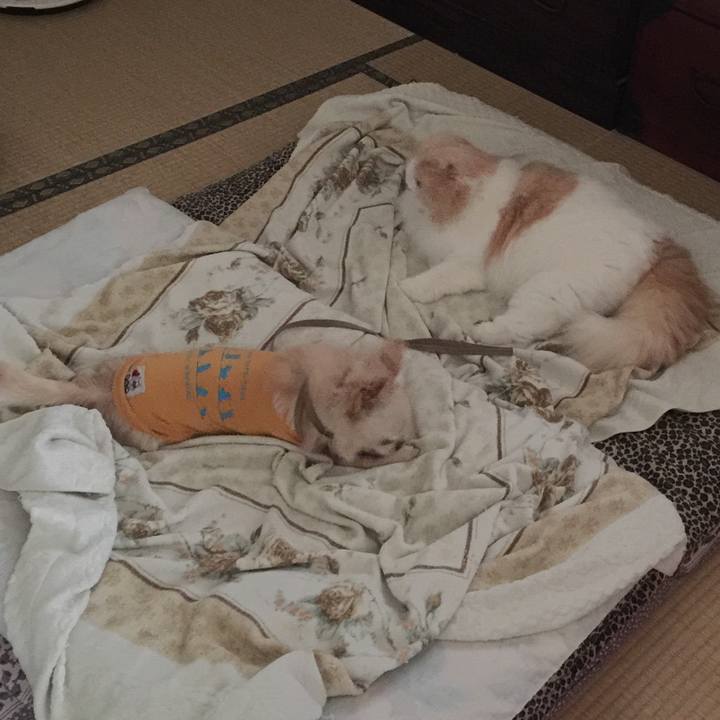 491e97b0 14d5 49b2 9c1c 6bbb4a2a8d18 1553293816435