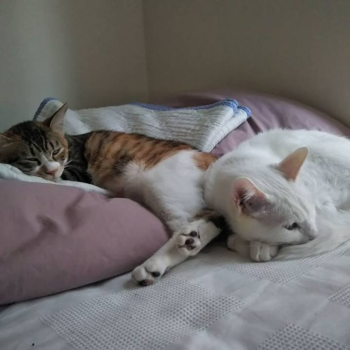 491e995d 3182 4b51 a70e 767e01e8ddd4 1637476404356