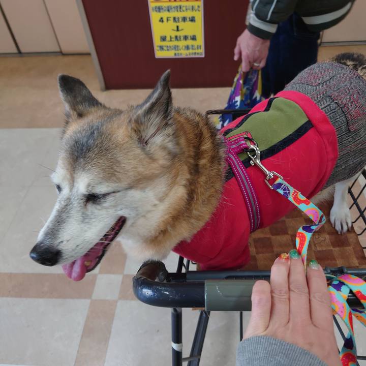 491e9ce8 1a5a 4a9d 8726 b23420674943 1702185905687