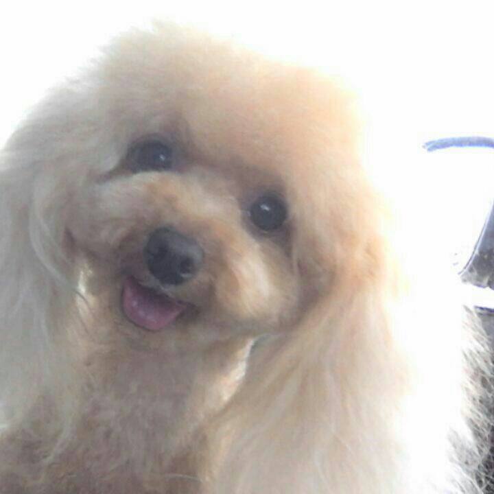 491eac3f c12d 42f8 846a 00b561003b6e 1538917826304