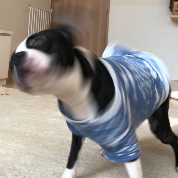 491ec1e9 e638 4aba aed4 ab881aa2a39d 1520816072472