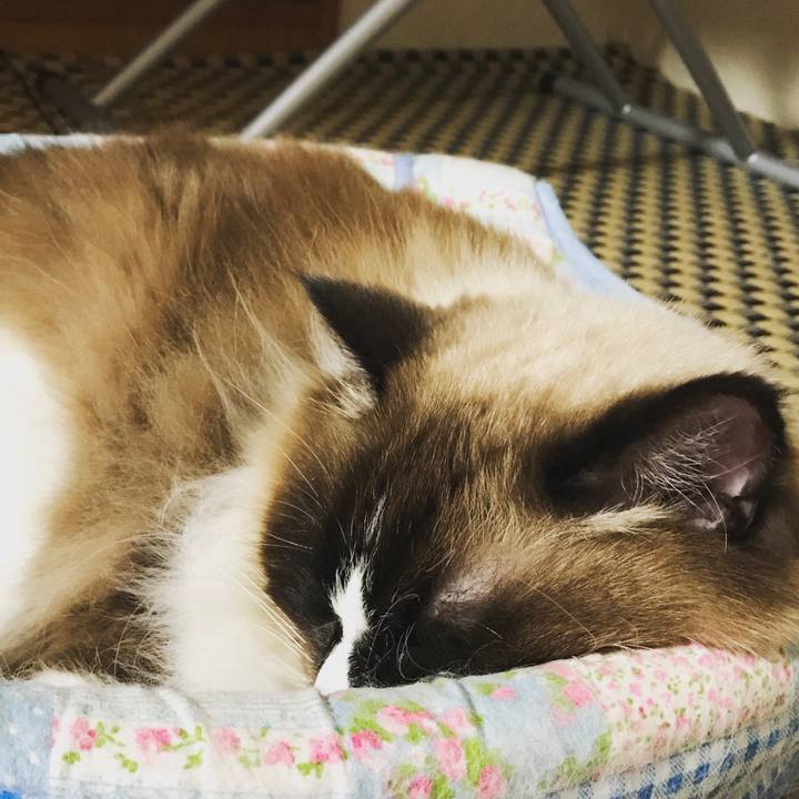 491ee5ef 16b5 4e4c 8acb d08280b51c86 1508578480659