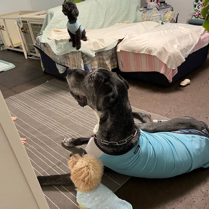 491eee2d 6909 408e 963a 7ad6b843dec6 1656023296047