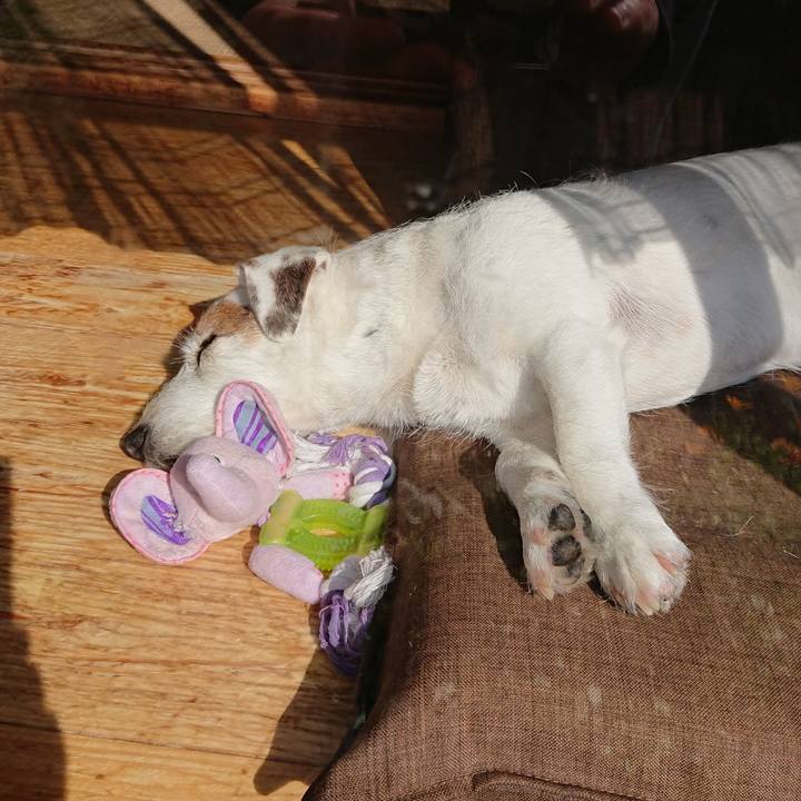 491eff61 206e 4fd3 bc71 96aae1f4f3cc 1524527310924