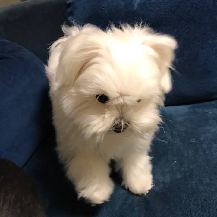 491f2618 c717 43ed 89c2 f376c8dd72d2 1549698810388