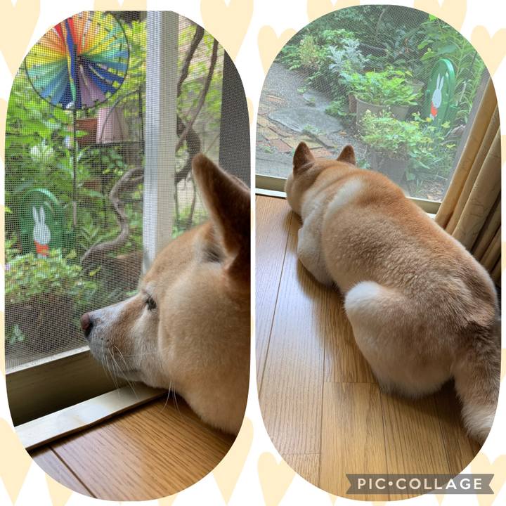 491f4fb6 0a95 48d9 aa8c 2d8e8fd49609 1654817645978