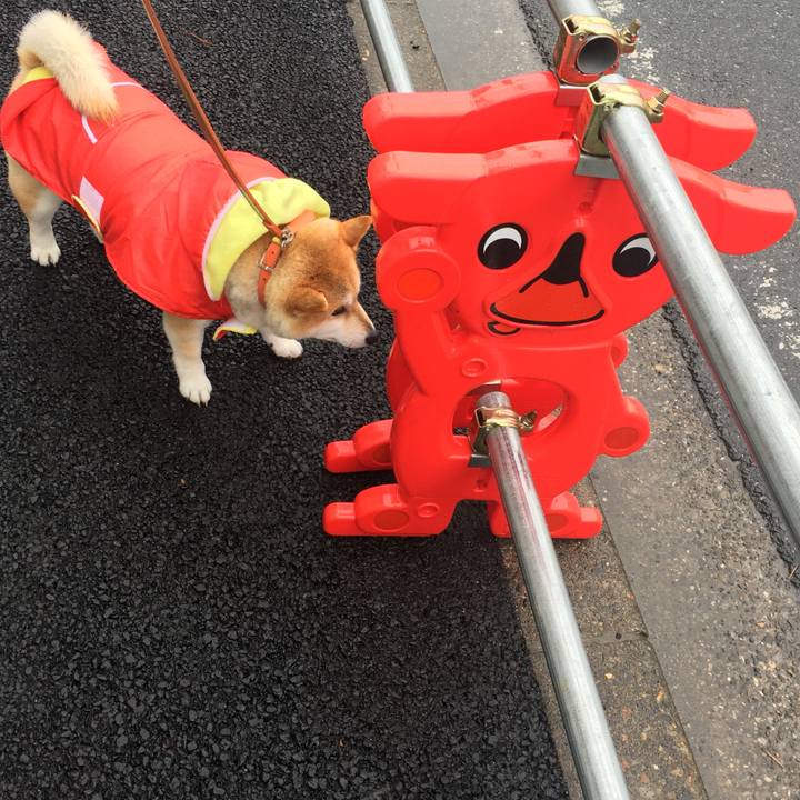 491f7601 a10a 4956 acbc 60f4d7df1ba6 1583636266517