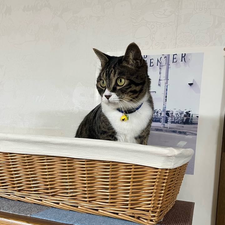 491f7847 9981 4bcc bc31 a08f35c3c140 1763772161739