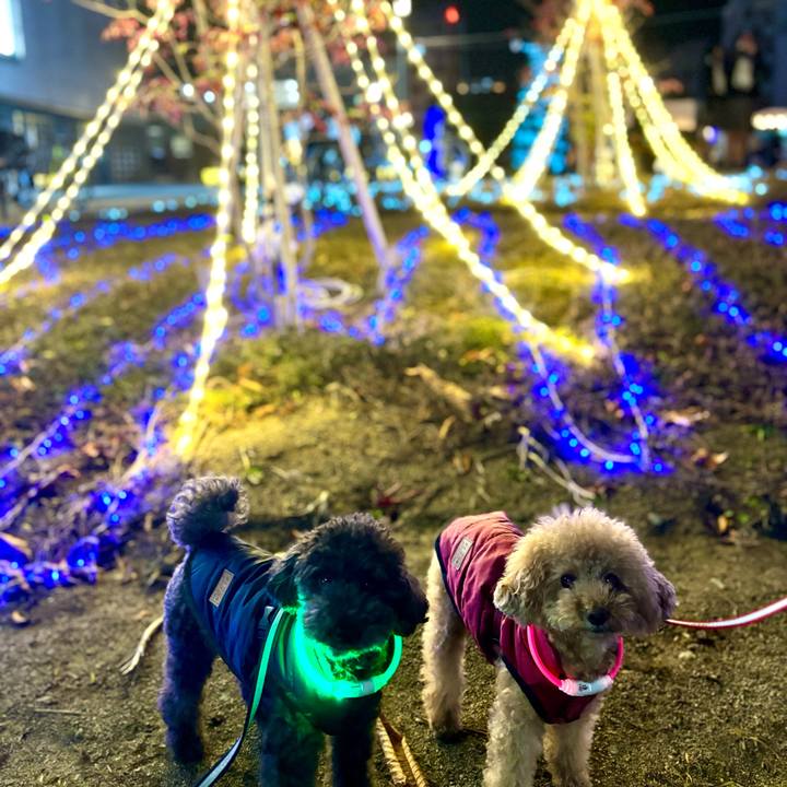 491f7b05 fe28 4c1b b00c 59c8d3a3f396 1702120495774