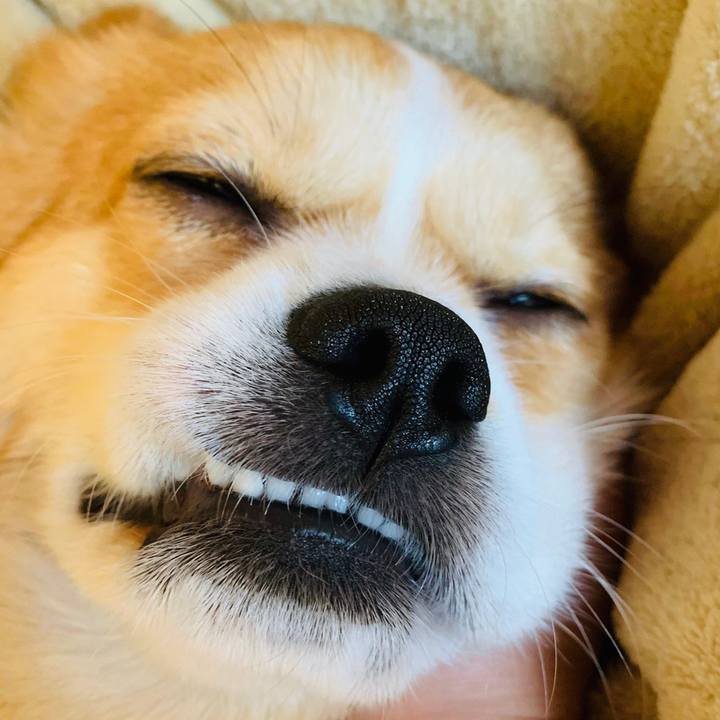 491f7b63 664d 4ed0 a466 ca3b3cd9f21f 1580525886316