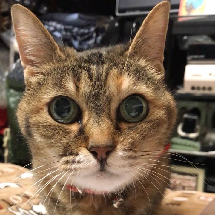 491fb590 e42d 4f32 9a9e 8035b0d69d84 1529246114053