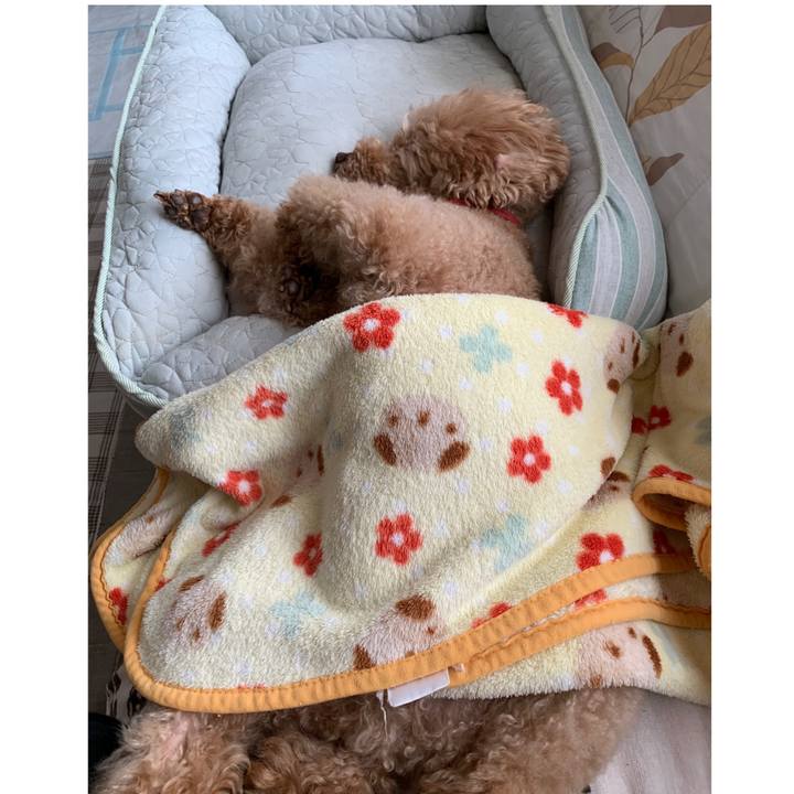 491fd8de 1702 4b9f b38c b6006cccc6c6 1565680736253