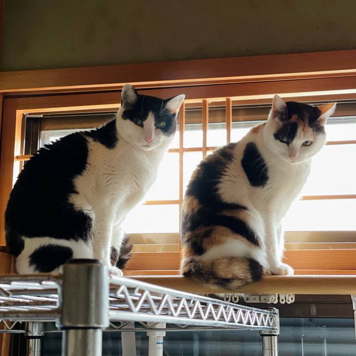 49200b2c 1cba 4862 930f b4979a314805 1645666091842