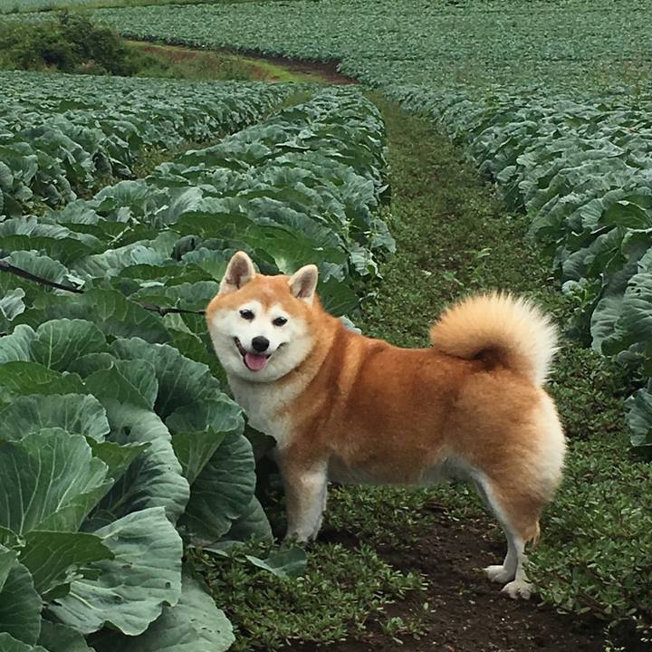 49200c0d 45fd 4736 9ba6 e34110a7ee89 1538912717856