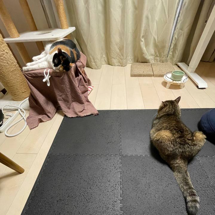 492012e9 4839 4b66 9820 26118282d3ca 1633358485195