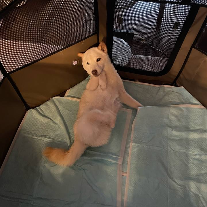 492039e5 82dc 45b0 8efa 6d179651532a 1660037473650