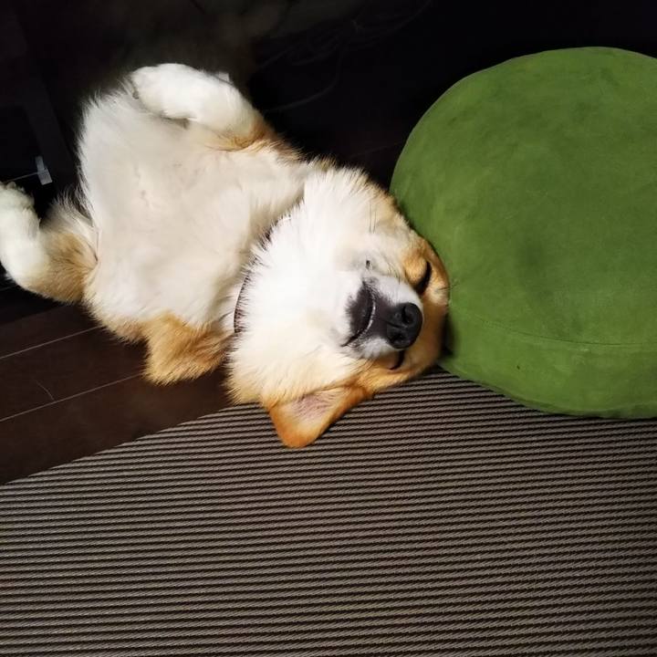 49207168 45a0 4055 8f14 1898ac8c96f7 1559822963661