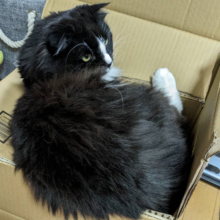 492078af 2252 413e 8261 dc56b6d68eca 1714301476327