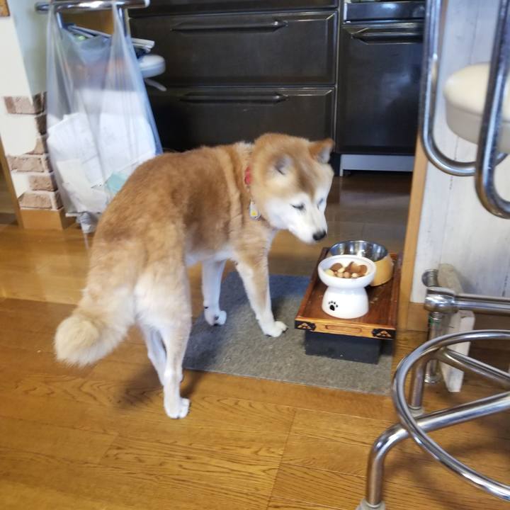 49208bb4 2da9 40dc 93d4 6c6fb0a3eb66 1758428233183