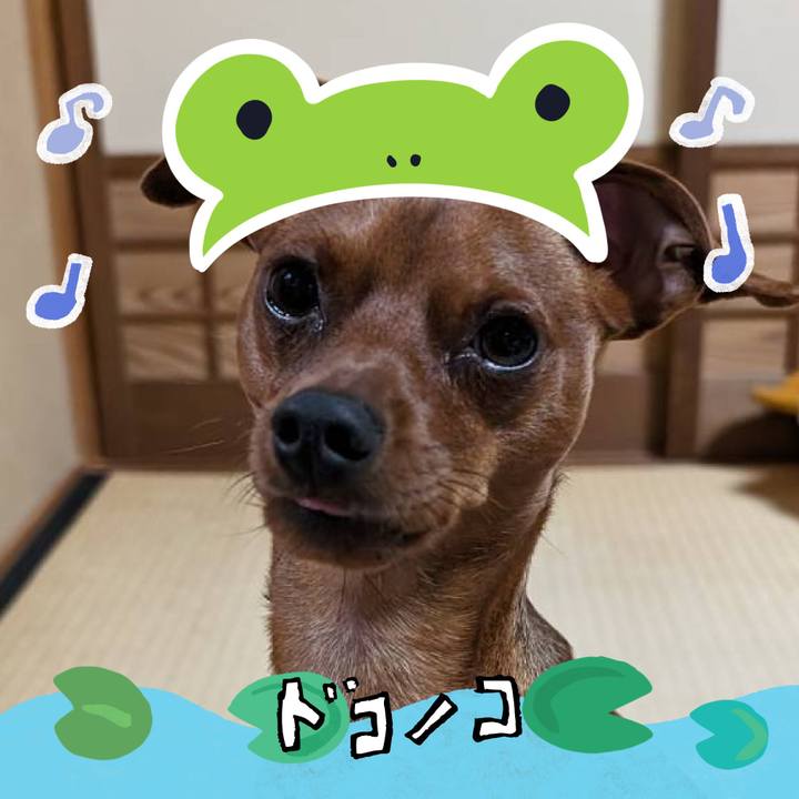 49209d30 3843 49e5 b6ef 60e4d20f80f8 1718279689121