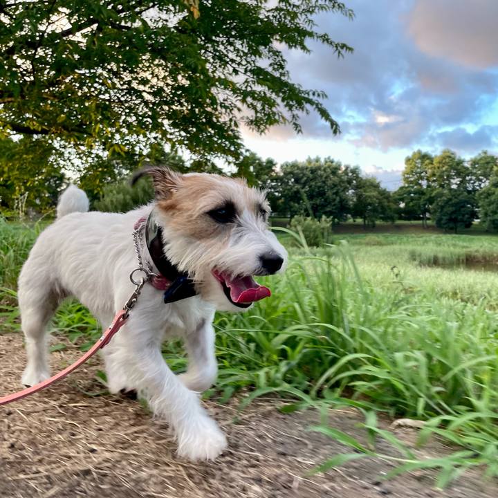 49209d81 8c3e 4dbb 91d1 be71af9d7491 1658757012023