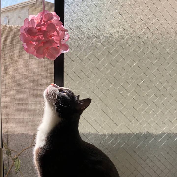 4920ee76 bea9 492c b2b6 ff58b9ab0b2f 1520052903980