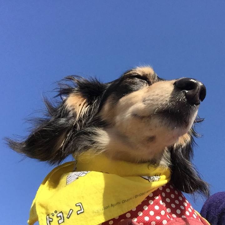 4920fc86 f02a 49ba 89d3 5259a3cb8dcd 1521764049526