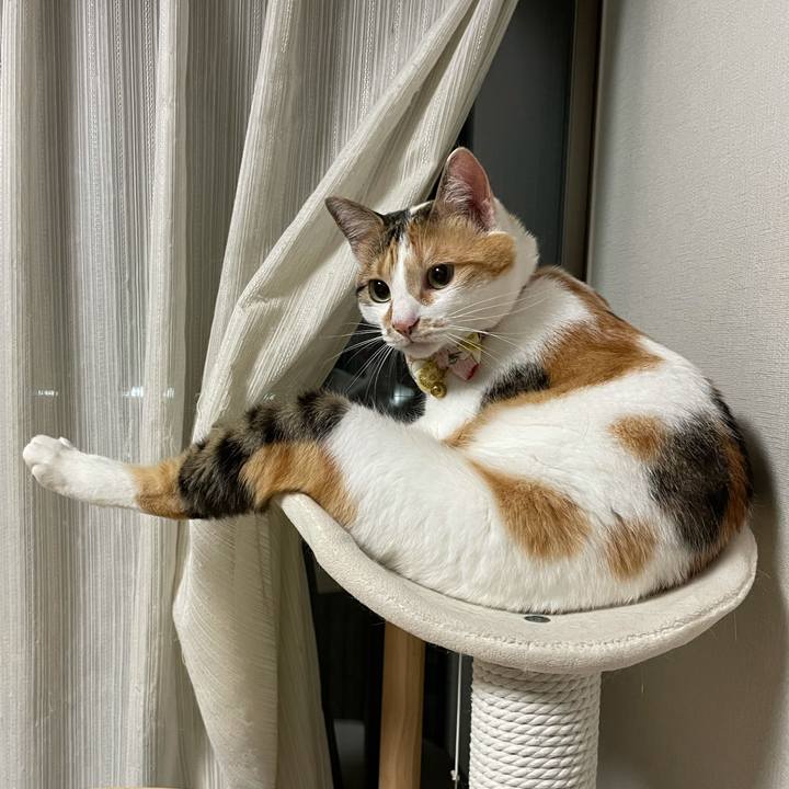 49211585 5896 4aef 82d0 86b033c72897 1626276609816