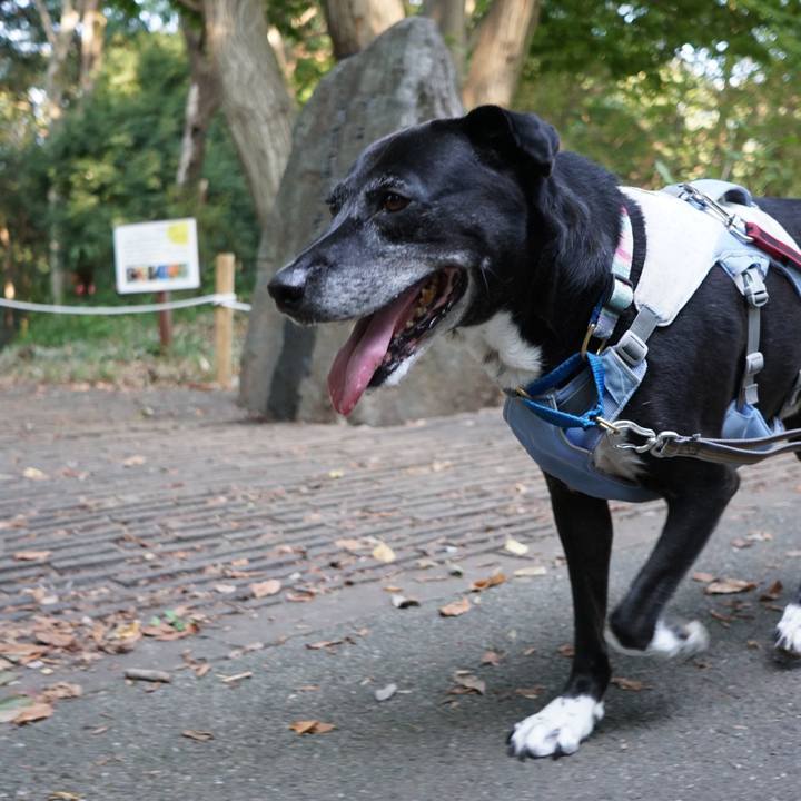 492190f1 9858 4b59 adf6 37b3288eadc7 1758152800013