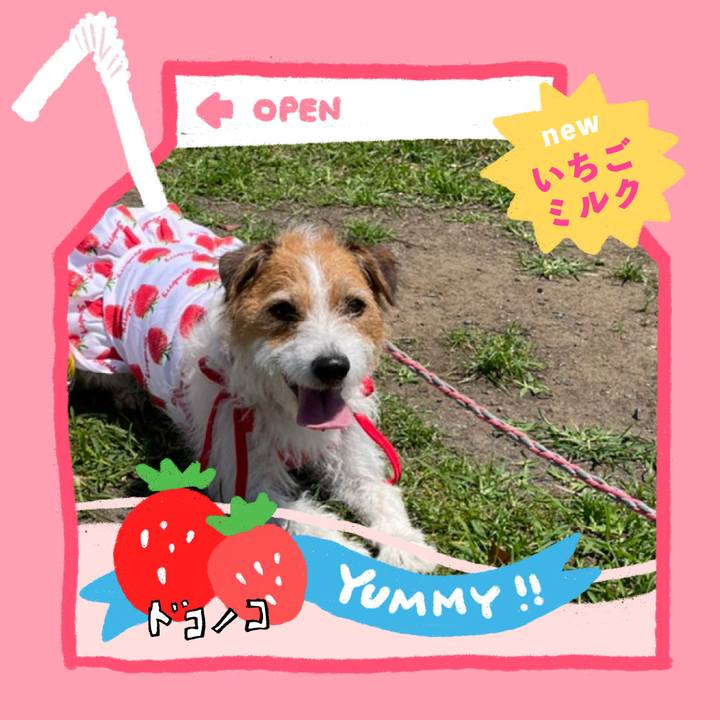 4921c6a1 2418 4cbc 8516 b23912e37707 1711585912142