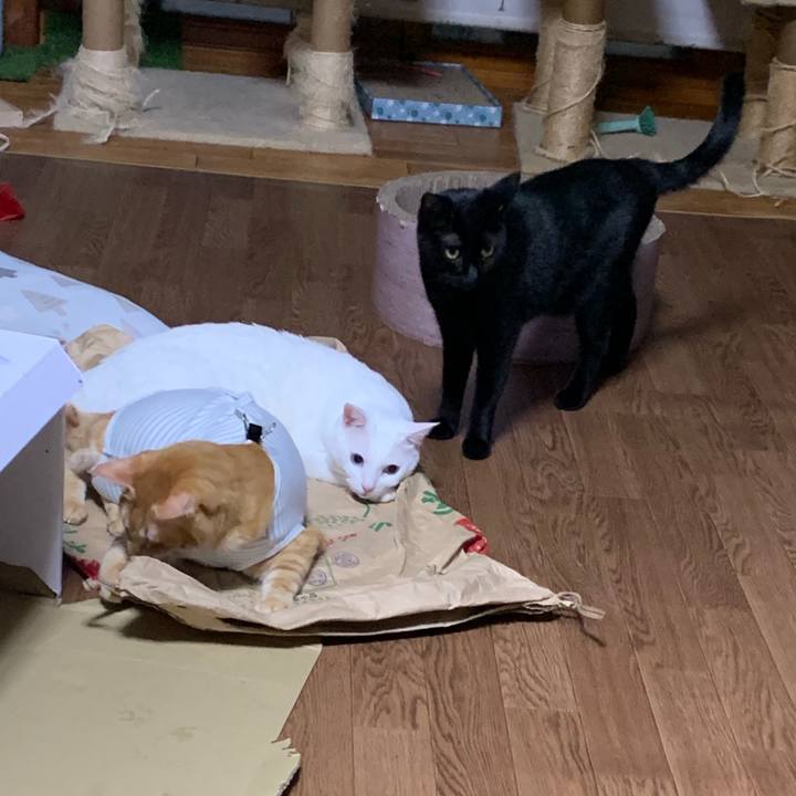 4921d1bb 60ea 4cde 8bfe 86cead8667d4 1569675162434