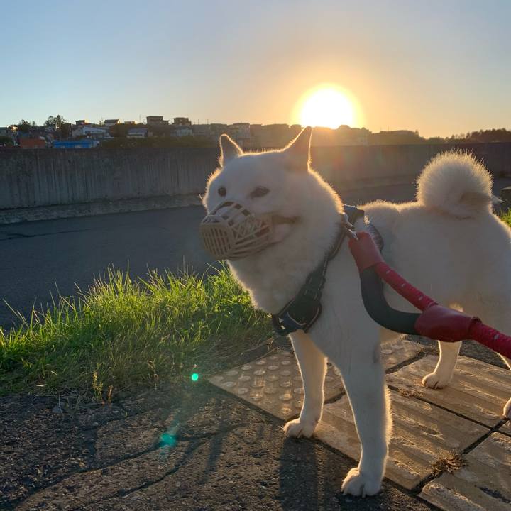 49220b02 1d7c 4c96 ab08 d206db1eebc5 1662586323343